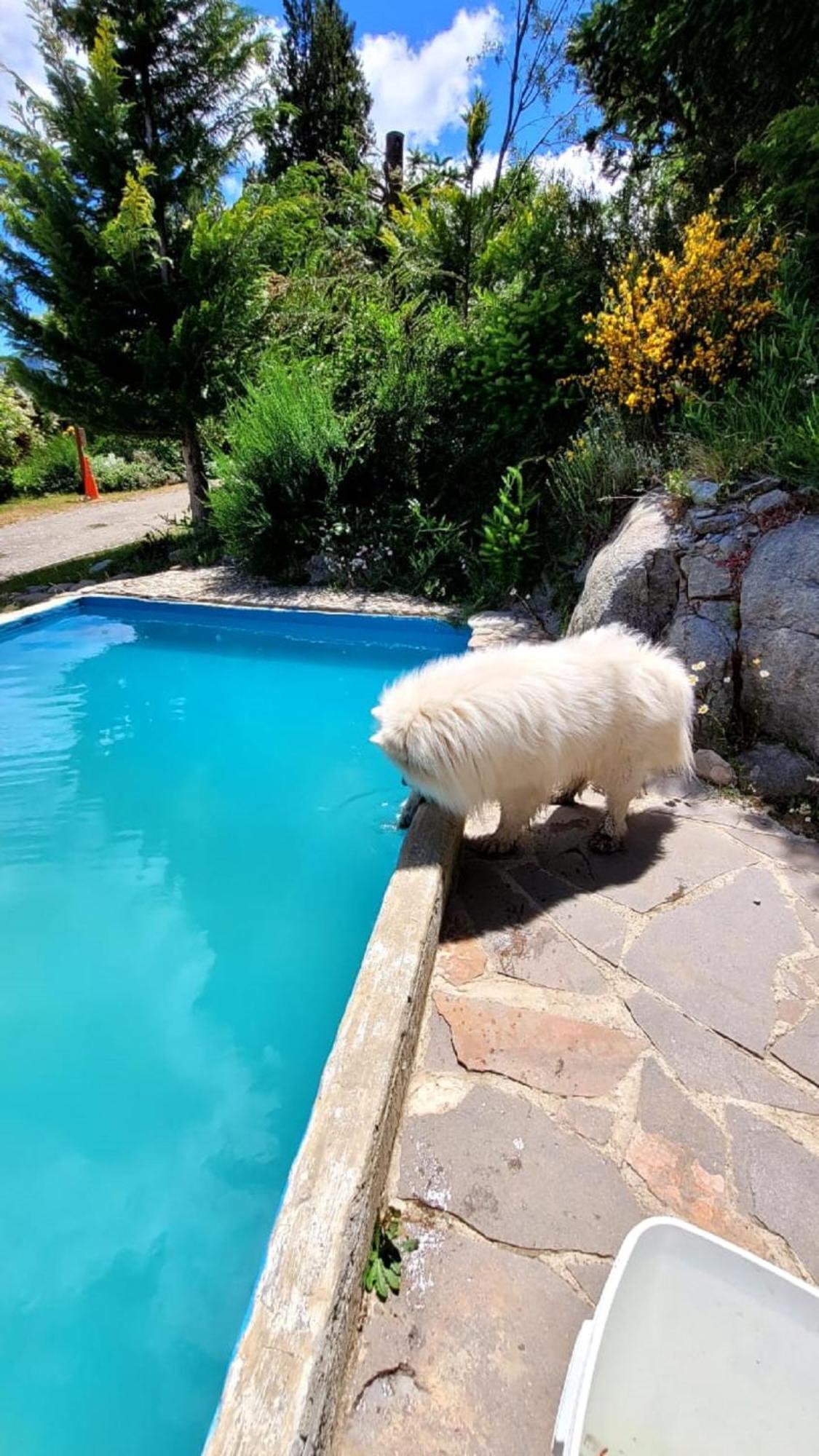 El Mirador Casa Arroyo Βίλα Σαν Κάρλος ντε Μπαριλότσε Εξωτερικό φωτογραφία